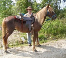 Just State The Fact!