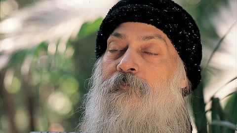 A Small Fragment From The Past