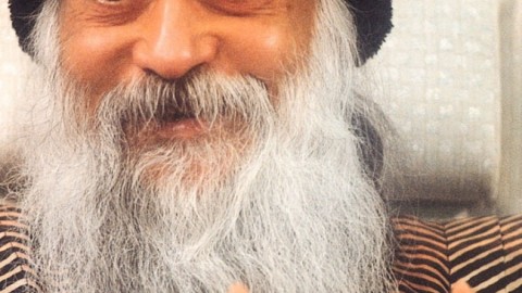 Lie Down And Witness