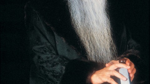 Meditation: The Art of Celebration