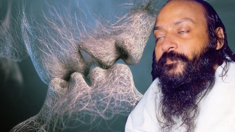 The Eight Limbs Of Yoga