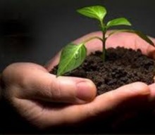 As You Sow So Shall You Reap
