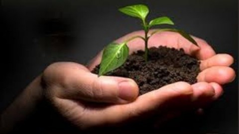 As You Sow So Shall You Reap