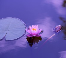 Understanding Desirelessness