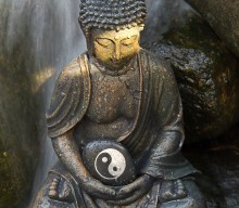 Yoga Sutra 38 You Reproduce Yourself