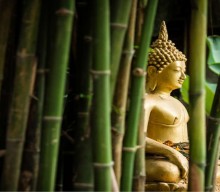 Yoga Sutra 43 Ego Is Nothing But Greed